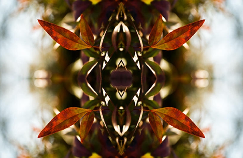 mainimage