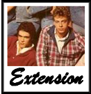 extension icon image