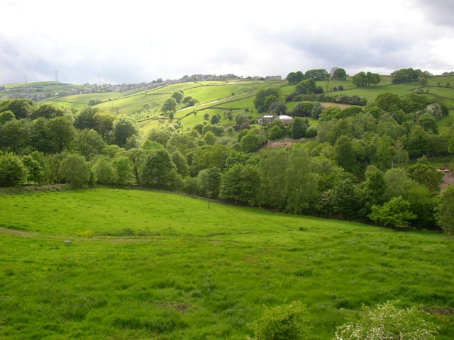 Green Countryside by Humphrey Bolton