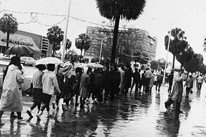 albanymovement_image