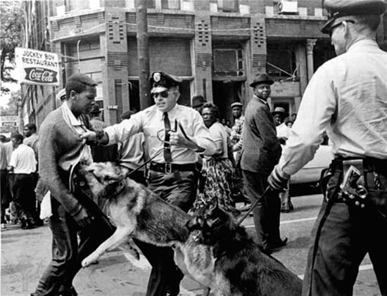 attackdog_image