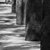 Boardwalk_tnail