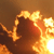 sun_tnail