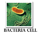 Navigation icon for bacterial cells