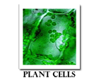 Navigation Icon for Plant Cells