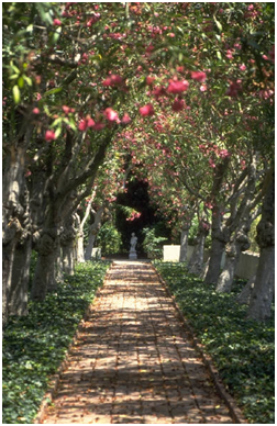 Path to Formal Garden