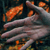 thumb3