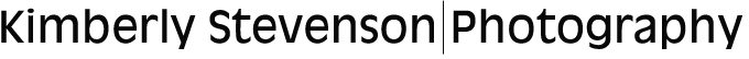 mainlogo