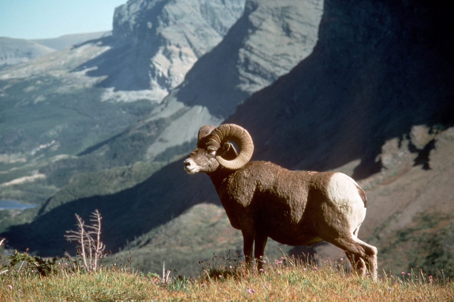 Nez Perce National Historic Trail