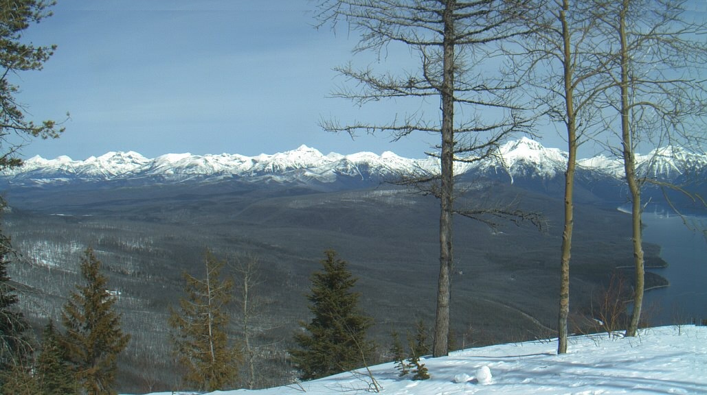 Montana glacier