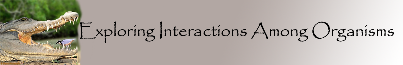 Banner for symbiosis page.