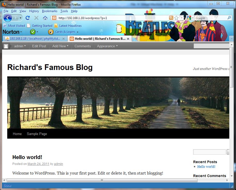 wordpress site