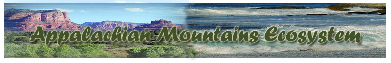 Appalachian Mountain Banner