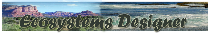 Designer Webquest Banner