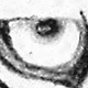 cat3