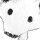 possum